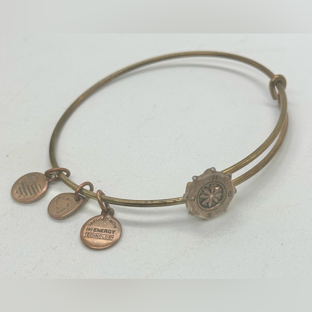 Alex & Ani Charm Bracelet Compass Gold Tone Brass Bronze